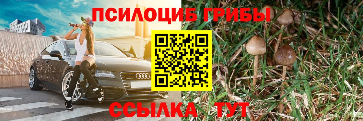 Псилоцибиновые грибы MAGIC MUSHROOMS Знаменск