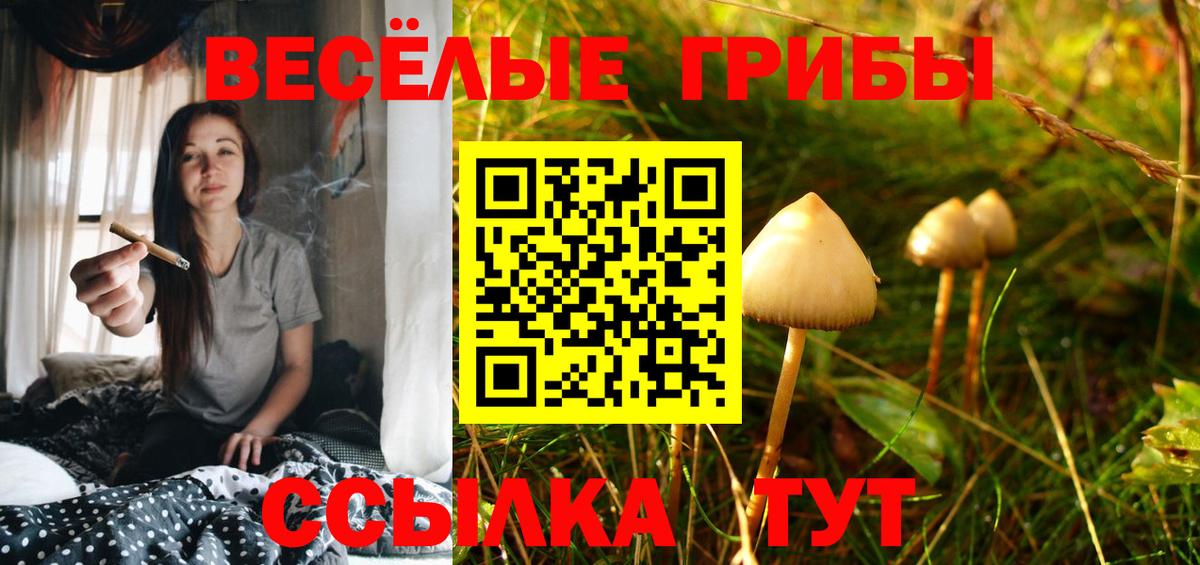 Галлюциногенные грибы мухоморы  Псилоцибиновые грибы мицелий  Знаменск  наркота  Вход с VPN 